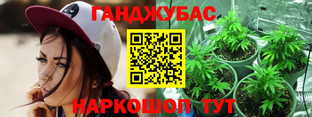 Каннабис гибрид Волоколамск
